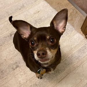 Meet your Posher, Lisa